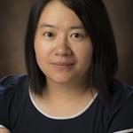 Meixia Zhao